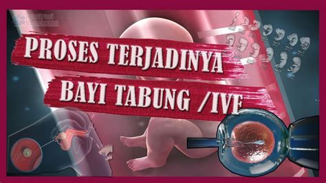 Proses Terjadinya Bayi Tabung Ivf Youtube