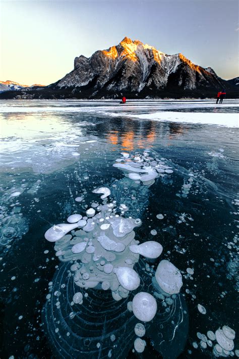Frozen Bubbles Of Abraham Lake Frozen Methane Ice Bubbles Flickr