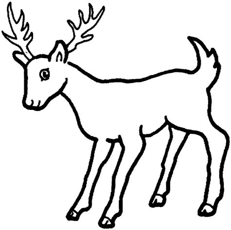 Wild Animals Pictures Outline Clipart Best