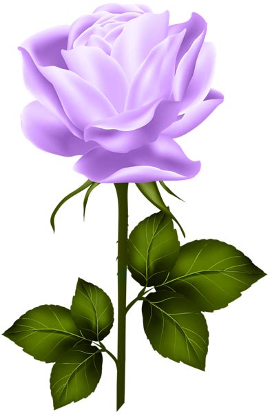 Purple Rose With Stem Png Clip Art Hybrid Tea Roses Beautiful