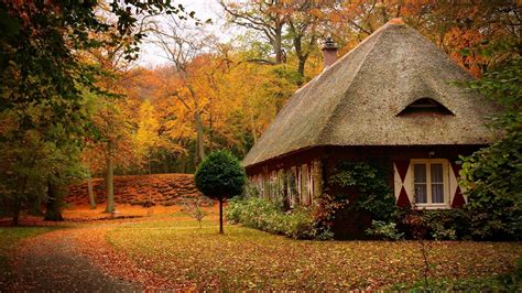 3840x2160 Cabins Forest Autumn 4k Wallpaper Hd Nature 4k Wallpapers