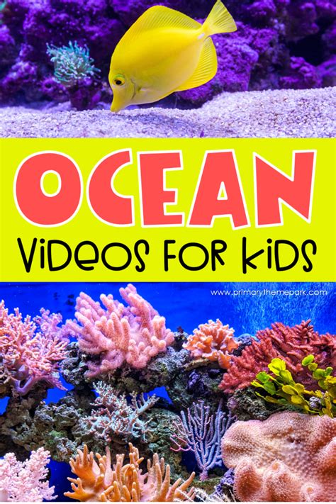 Ocean Videos For Kids Ocean Video Coral Reef Art Ocean Activities