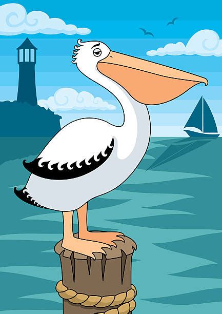 Pelicans Cartoon Illustrations Royalty Free Vector Graphics And Clip Art