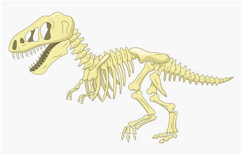 Dino Bones Cartoon Png