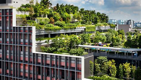 With Apartments Gardens Plazas And Restaurants Singapore Tests A