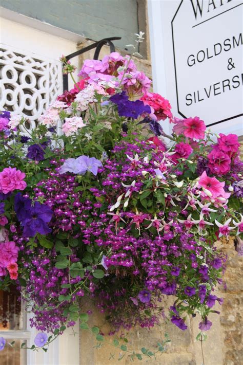 We did not find results for: Hanging basket ideas | Hanging baskets, Hanging flower ...