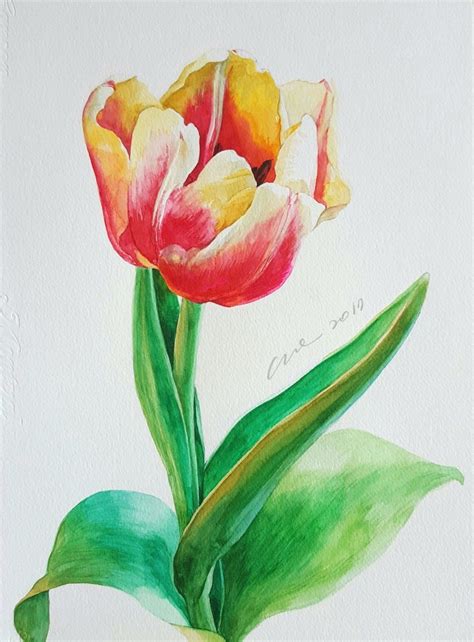 Tulip Watercolor Watercolor Tulips Floral Watercolor Flower Painting