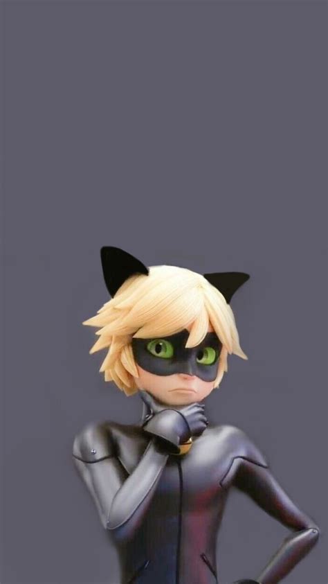 A collection of the top 47 chat noir wallpapers and backgrounds available for download for free. Miraculous - Cat Noir Wallpaper | Desenho ladybug ...