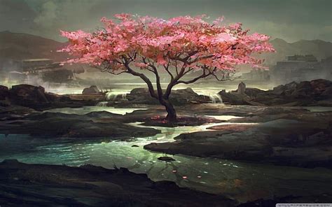 Cherry Blossom Tree On Cliff Digital Wallpaper Cherry Blossom On Cliff