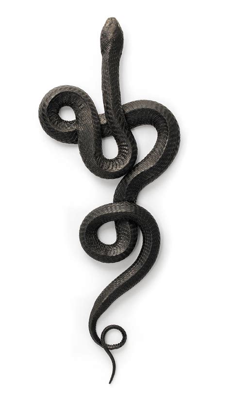 Check spelling or type a new query. Amazing Photos Reveal How the Natural World Copies Itself ...