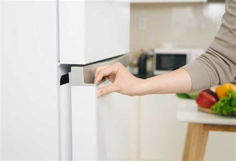 How To Replace A Fridge Gasket Shiny Modern