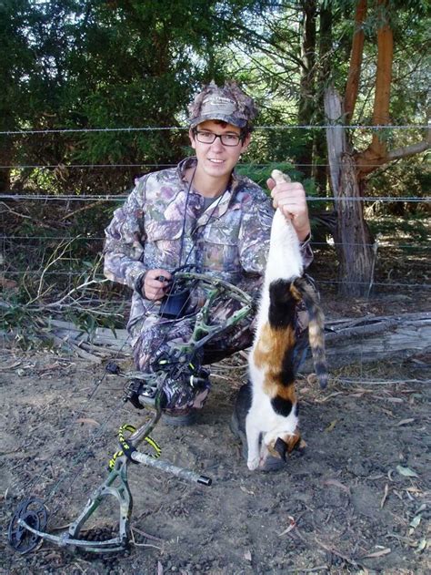Cat Hunting In Australia