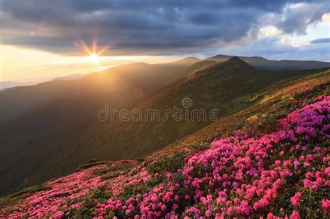 Scenery Of The Sunset At The High Mountains Amazing Spring Landscape