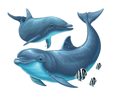 Dolphin Png Transparent Images Png All