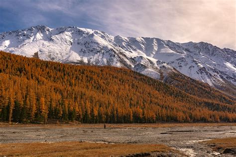 Autumn Evening In Aktru Gorge In The Altai Republic Southern Siberia