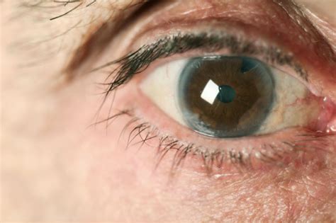 Healthy Eyes The Ultimate Guide Healthista
