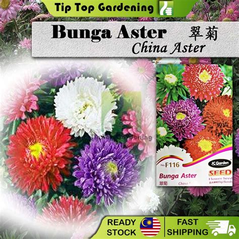F116 China Aster Bunga Aster Jc Garden Seed Biji Benih Shopee Malaysia