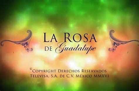 ¿a Qué Se Debe El éxito De ‘la Rosa De Guadalupe Serie De Televisa Y