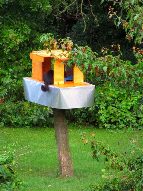 May be obtrusive in landscape. raccoon-proof feral feeding station | Woohoo! I made this ...