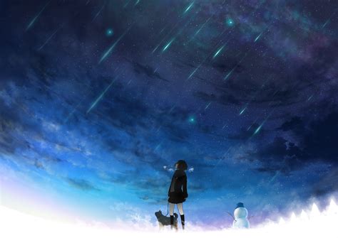Tokiti Original Highres 1girl Dog Meteor Shower Scenery Sky