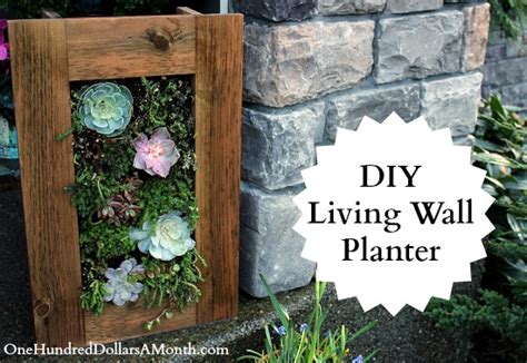 We are excited because this wall is mostly made of indoor plants and will look great in our new office space once it is rooted. DIY Sedum and Succulent Living Wall Planter - One Hundred ...