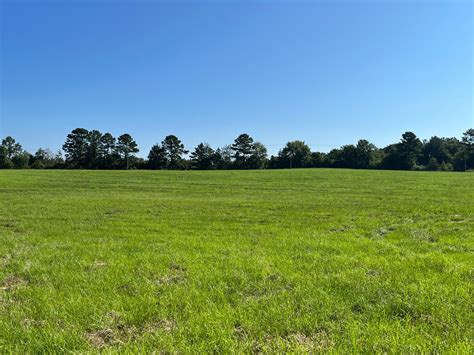 Singleton Leake County Ms Farms And Ranches Recreational Property