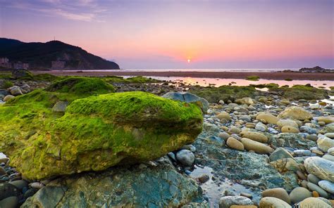 Wallpaper Sea Beach Rocks Stones Moss Morning Dawn Sunrise