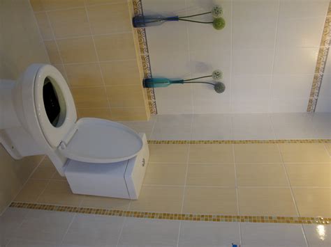 › installing tile around toilet flange. Using a Mosaic tile as a vertical border around a toilet