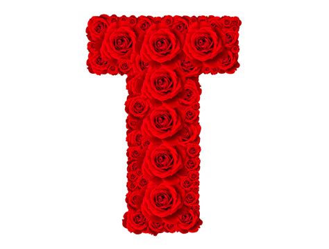 Rose Alphabet Set Alphabet Capital Letter T Made From Red Rose