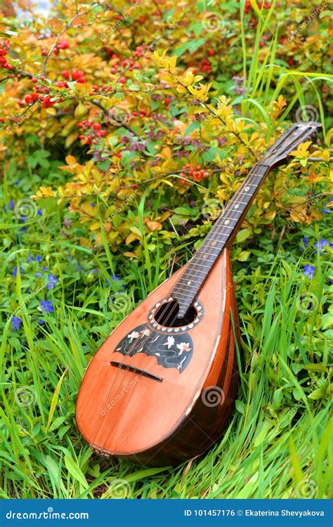 National Mandolin Stock Photo Image Of Musical Music 101457176