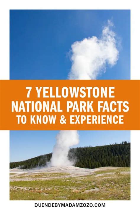 7 Yellowstone National Park Facts To Know And Experience