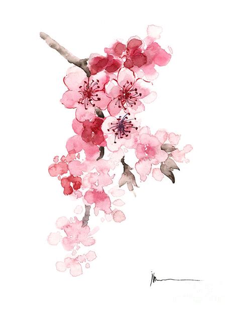 Sakura Flowers Watercolor Art Print Painting Painting By Joanna Szmerdt