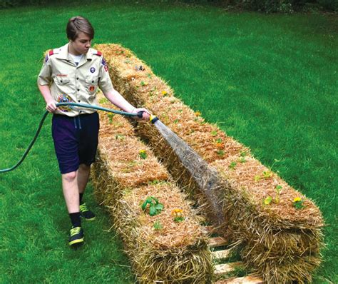 The Science Of Straw Bale Gardening With Joel Karsten Back To My Garden