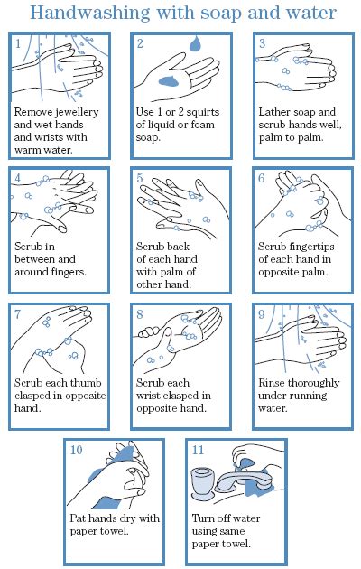 Chart Off Proper Hand Washing Technique