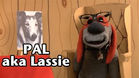 Pal Aka Lassie Famous Dogs Of History 111 Youtube