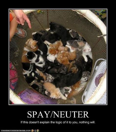 Lift your spirits with funny jokes, trending memes, entertaining gifs, inspiring stories, viral videos, and so much more. Why Neuter?