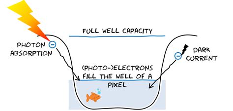 A ccd is an array of closely spaced mis capacitors separated by channel stops surface dark current depends on Noise in detectors for spectroscopy - Ibsen Photonics