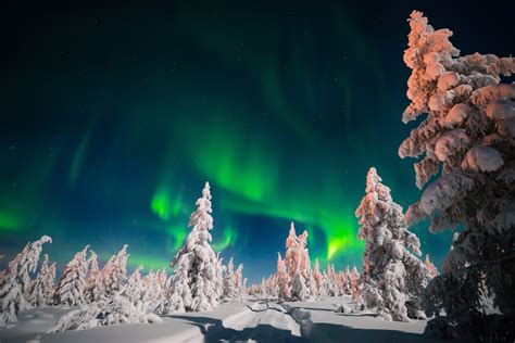 Aurora Borealis Over Snowy Winter Forest