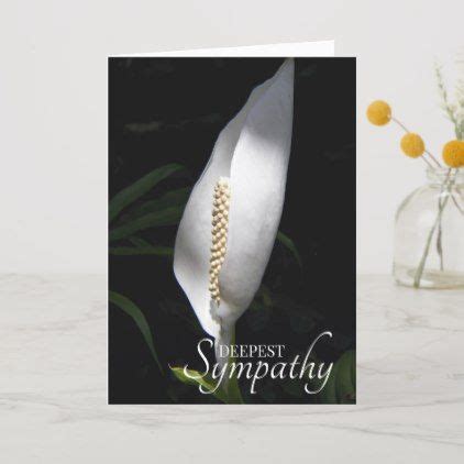 White Peace Lily Floral Sympathy Card Zazzle Sympathy Cards