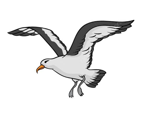 Ai Cartoon Vector Animal Bird Albatros Design Materials Png Vector