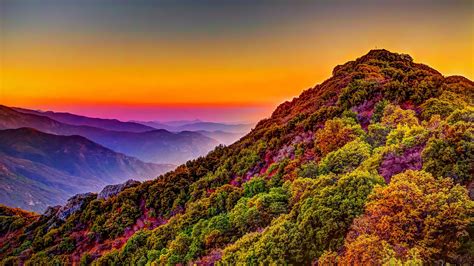 Mountain Colorful Forest Nature Sunset Scenery 4k