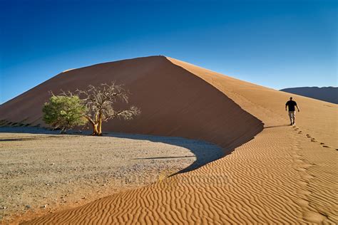 Travel4pictures Dune 45 Desert Landscape Of Namib 02 2018