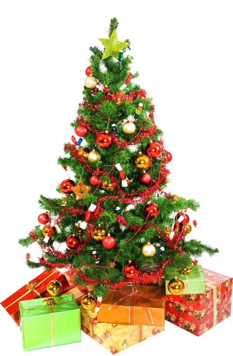 Discover and download free christmas tree png images on pngitem. Christmas tree png images Download HD - FREE Download 2019
