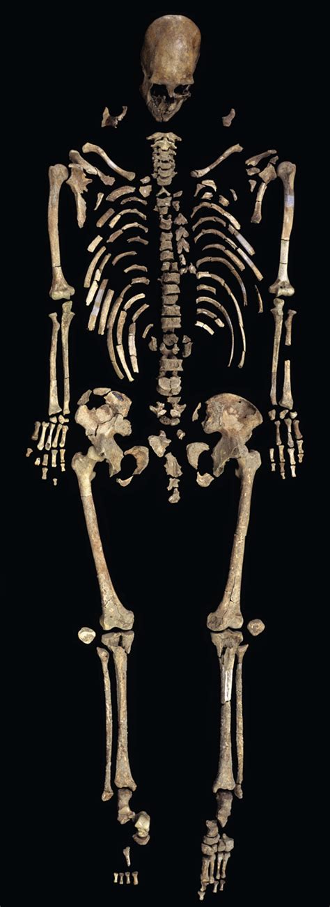 A Long Complicated Battle Over Year Old Bones Is Finally Over Kennewick Man Native