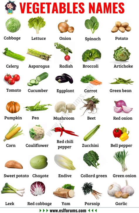 List Of Vegetables Useful Names Of Vegetables With The Picture Esl