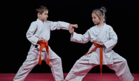 clases de karate para niños en queretaro clasesd