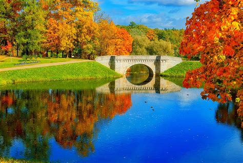 Autumn Bridge Colorful Fall Autumn Bonito Park Trees Lake