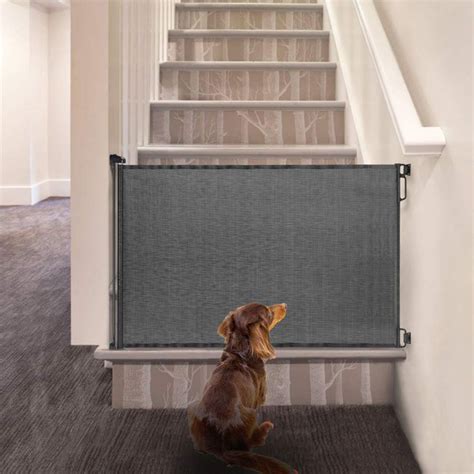 Retractable Dog Gates Keeping Canines Safe And Secure