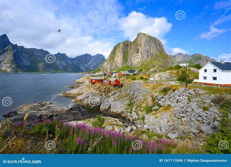 Panorama Of Hamnoy Town On Lofoten Islands Royalty Free Stock Image