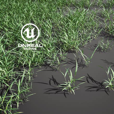 3d Model Realistic Grass 11 Ue4 Asset And Fbx Files Vr Ar Low